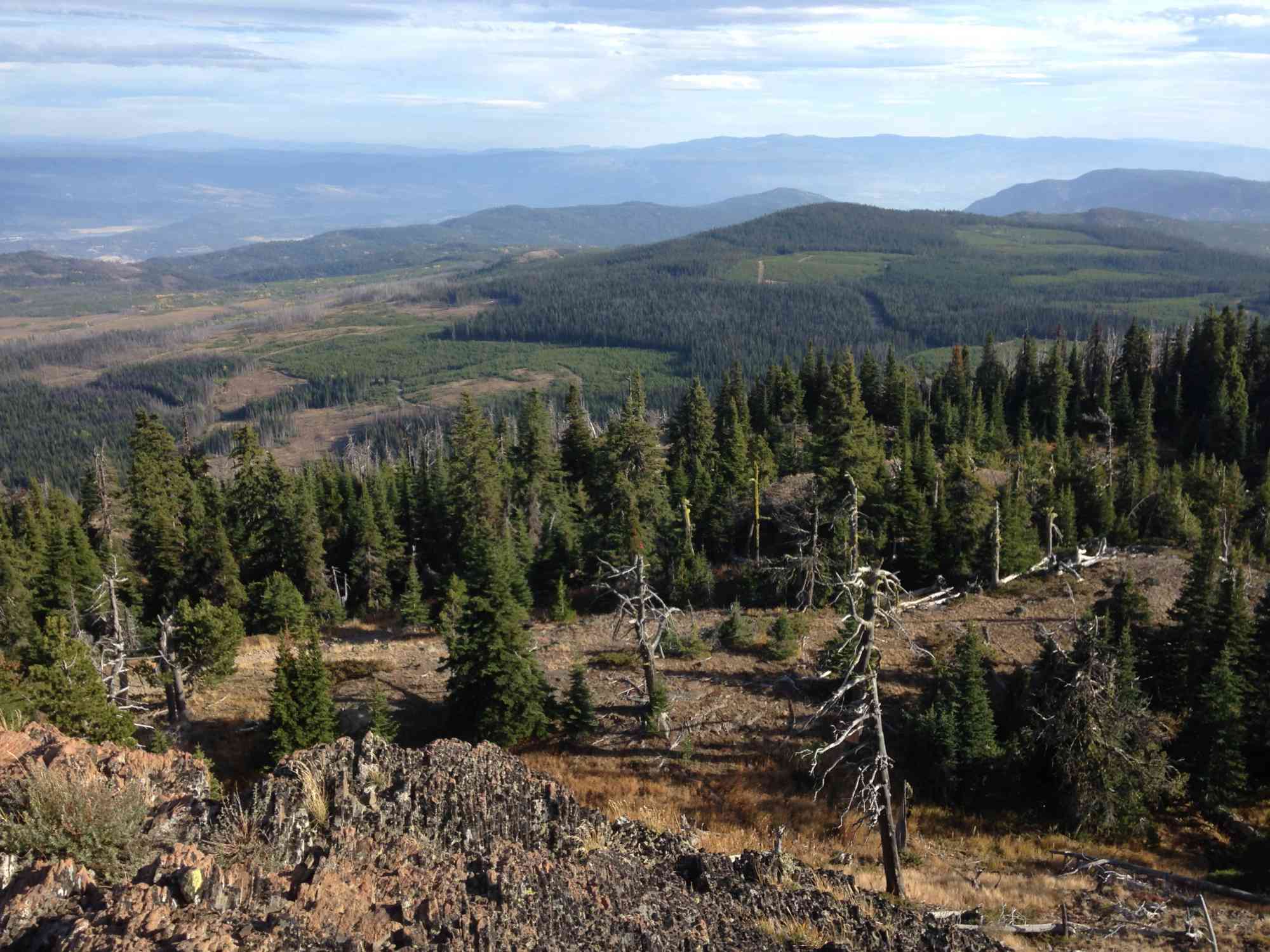 Trails Terrace Mountain