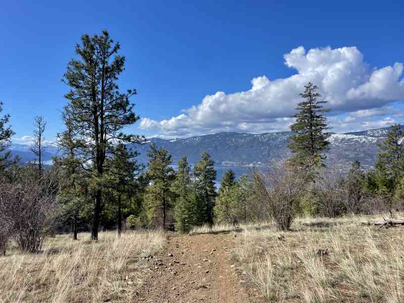Spion Kop Sunset Hike