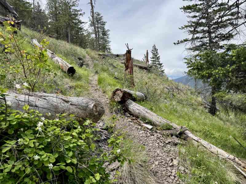 Secret Pincushion Hike