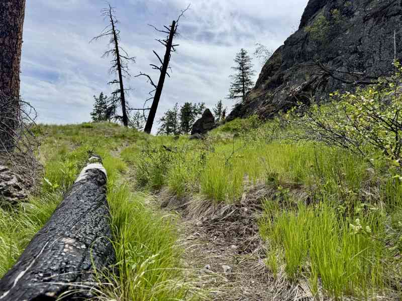 Secret Pincushion Hike