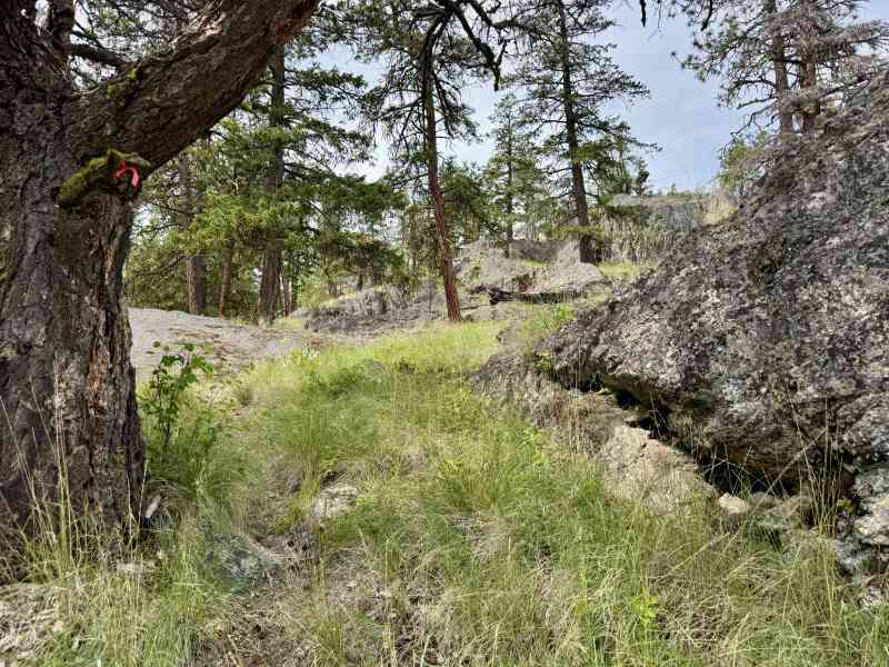 Secret Pincushion Hike