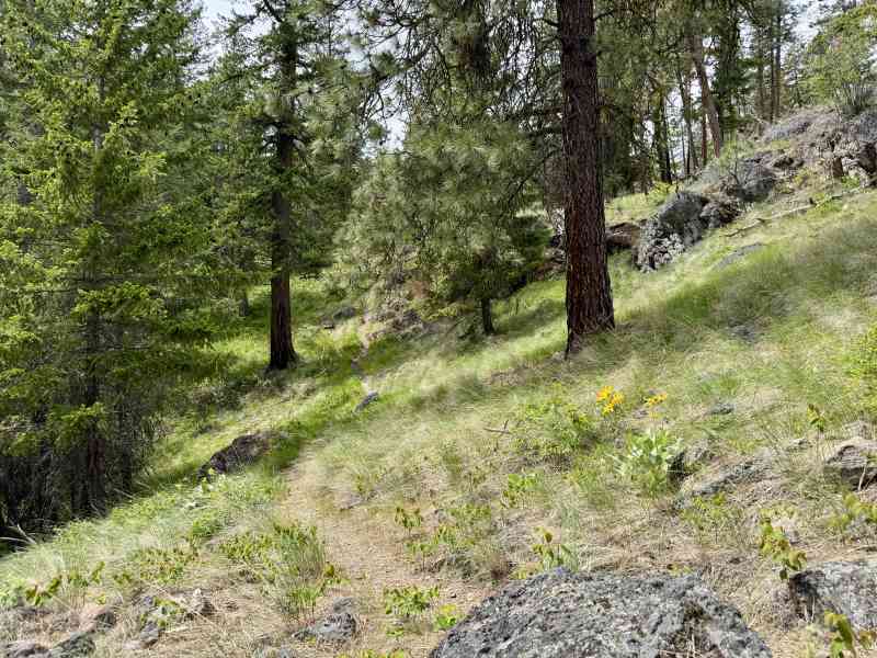 Secret Pincushion Hike