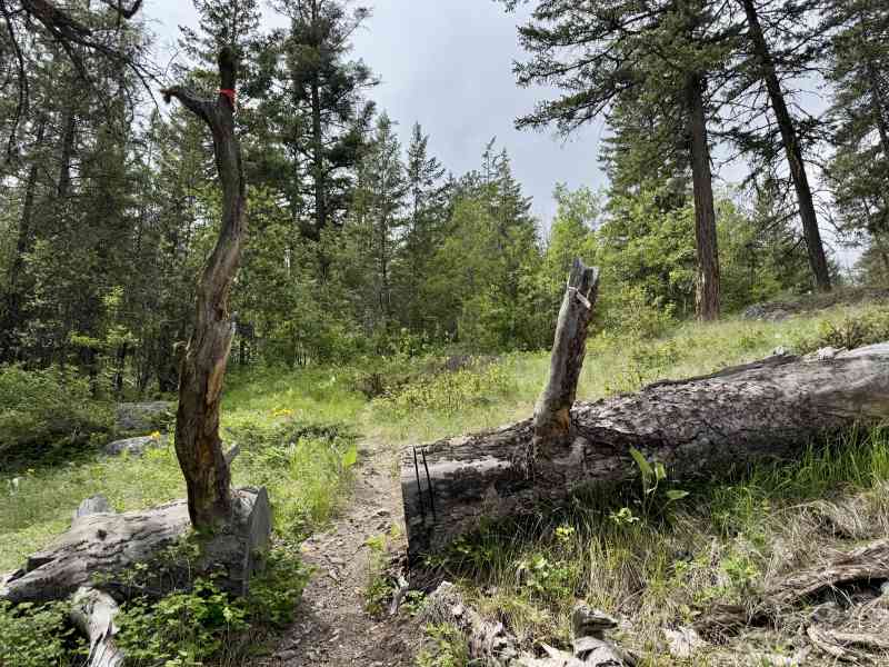 Secret Pincushion Hike