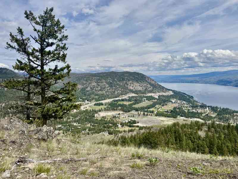 Secret Pincushion Hike
