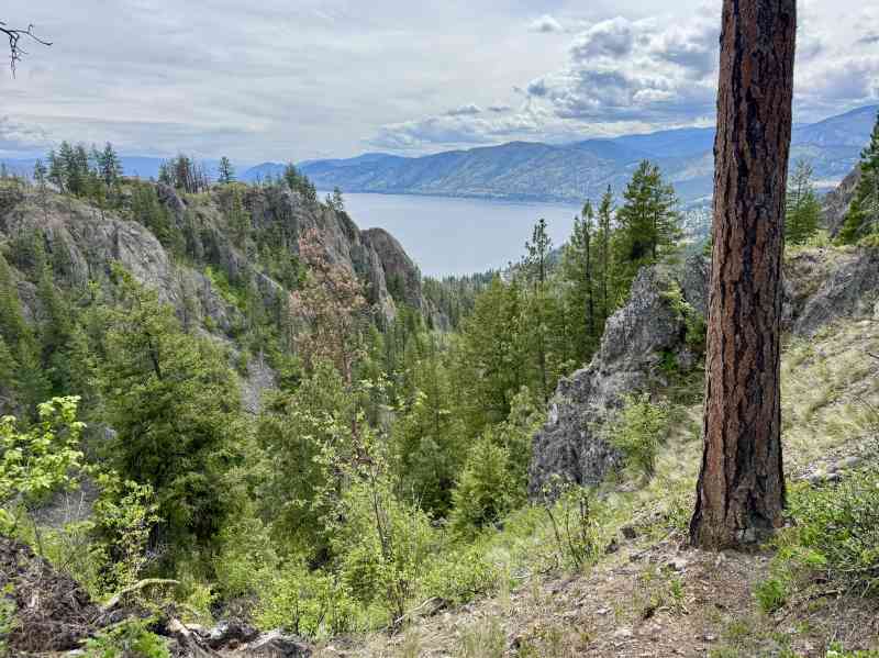 Secret Pincushion Hike