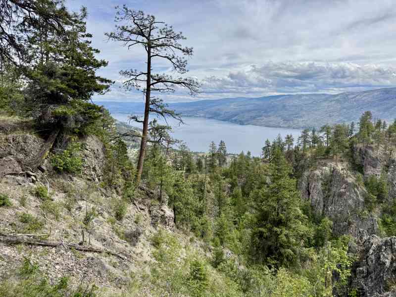 Secret Pincushion Hike