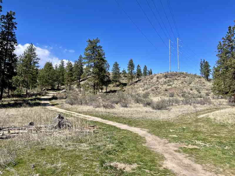 Peach Cliff Hike & Waterfront Lunch