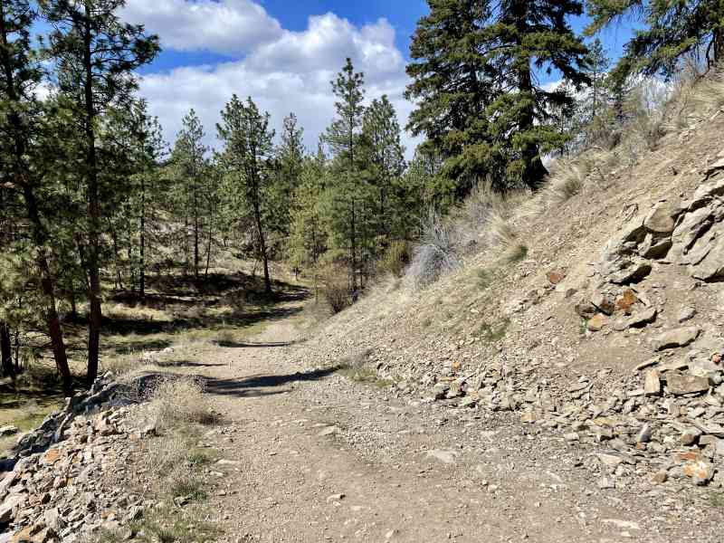 Peach Cliff Hike & Waterfront Lunch