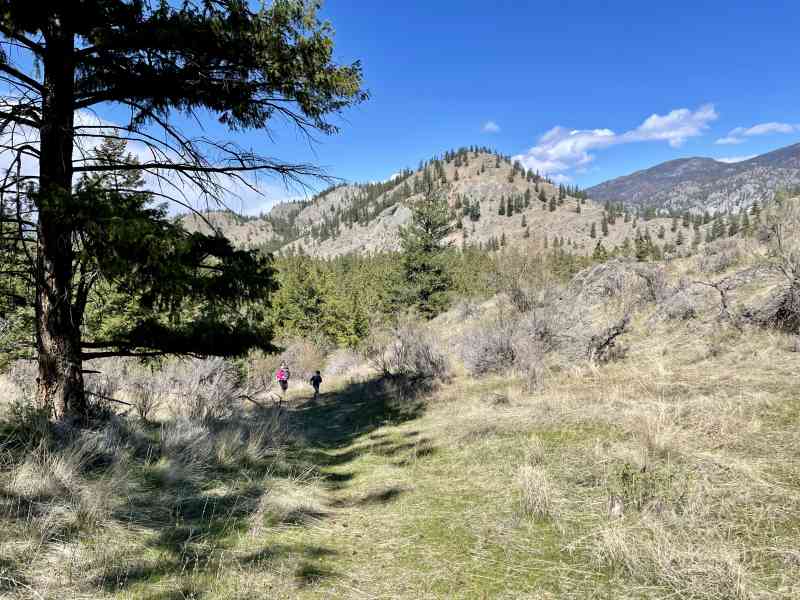Peach Cliff Hike & Waterfront Lunch