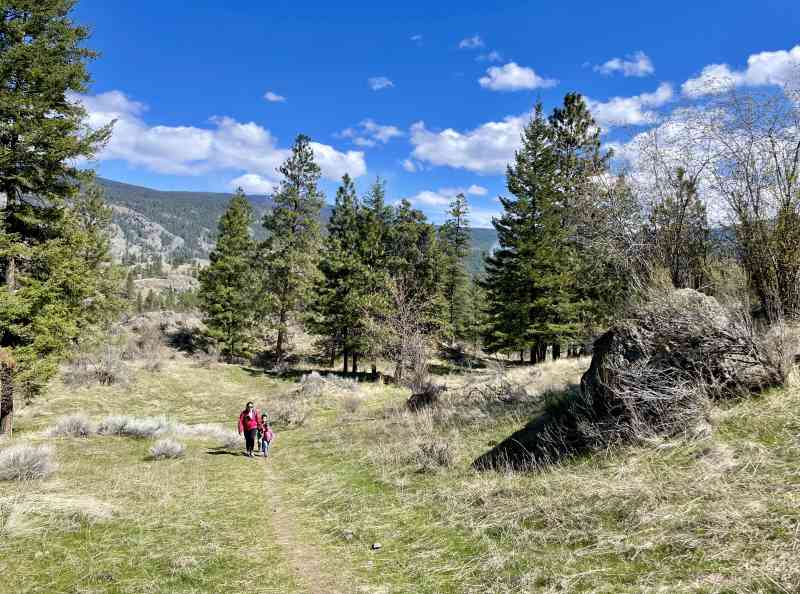 Peach Cliff Hike & Waterfront Lunch
