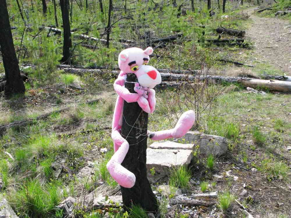 Myra Canyon: Teddy Bear Loop