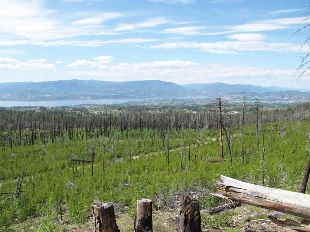 Myra Canyon: Teddy Bear Loop