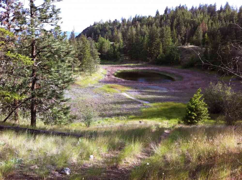 Stephens Coyote Ridge: Swamp Loop