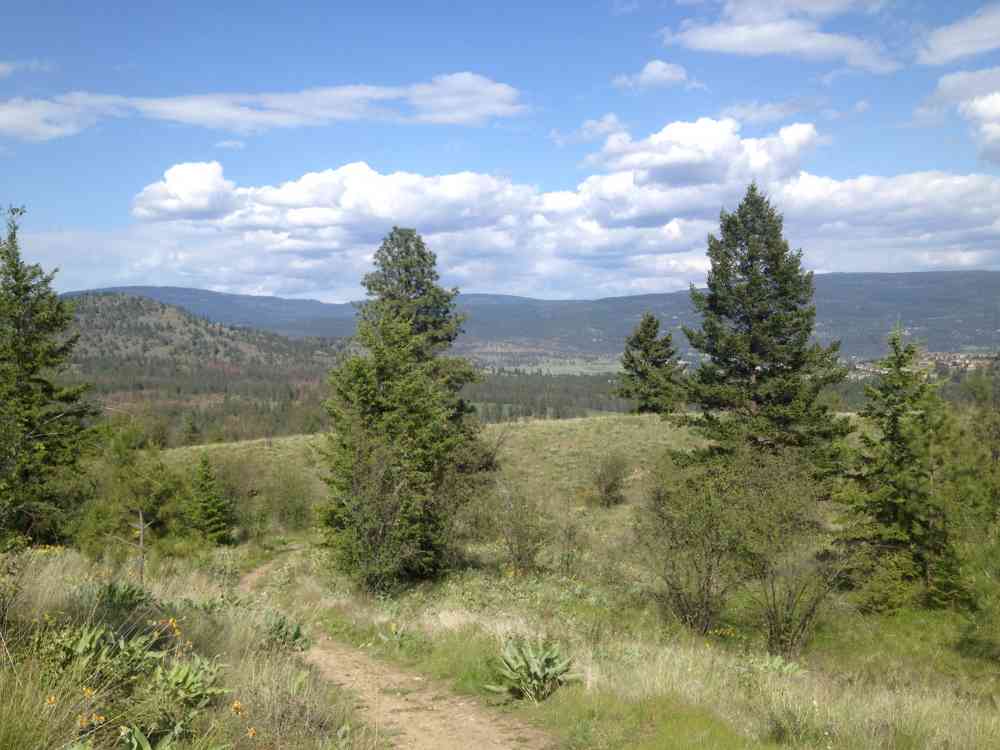 Stephens Coyote Ridge: Swamp Loop