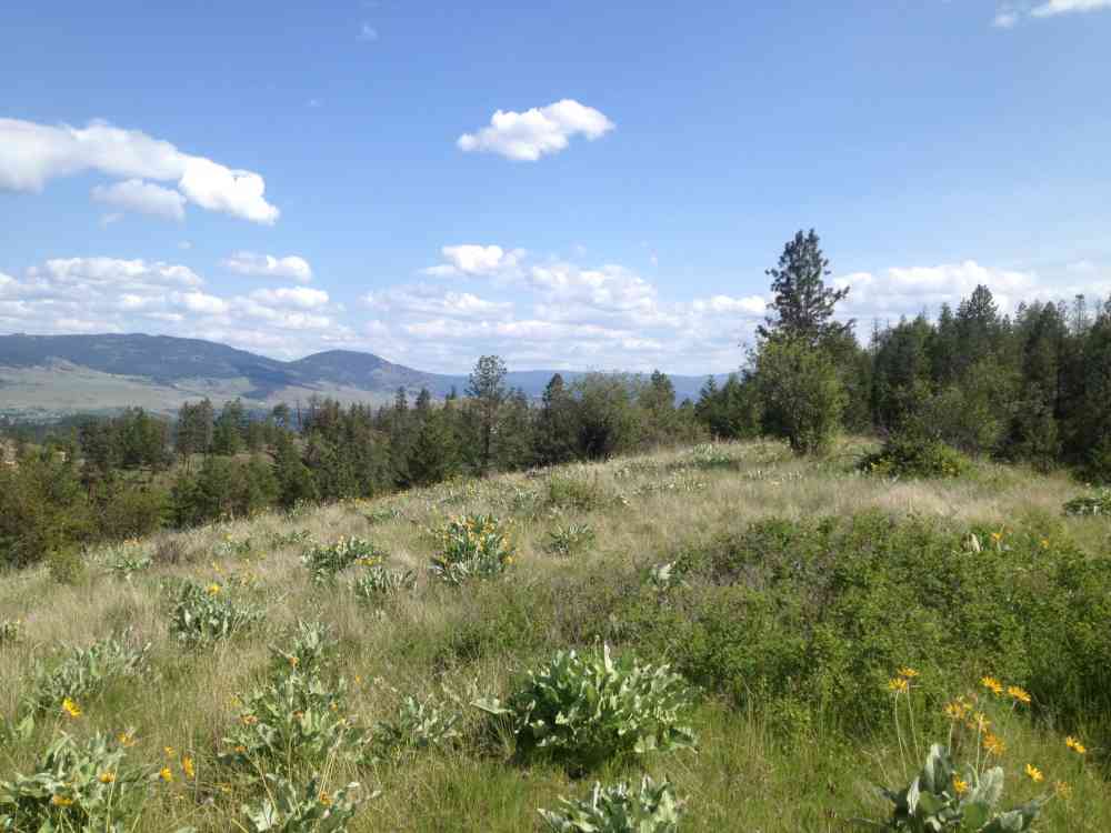 Stephens Coyote Ridge: Swamp Loop