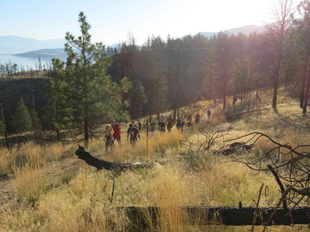 Bear Creek: Canyon Rim Trail