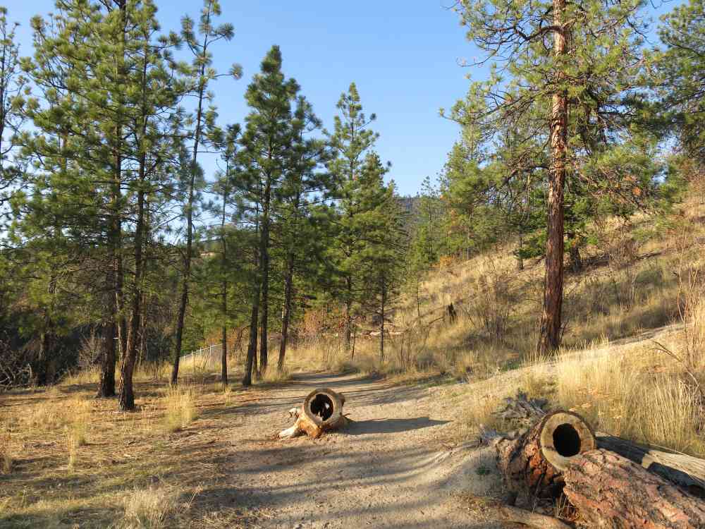 Bear Creek: Canyon Rim Trail