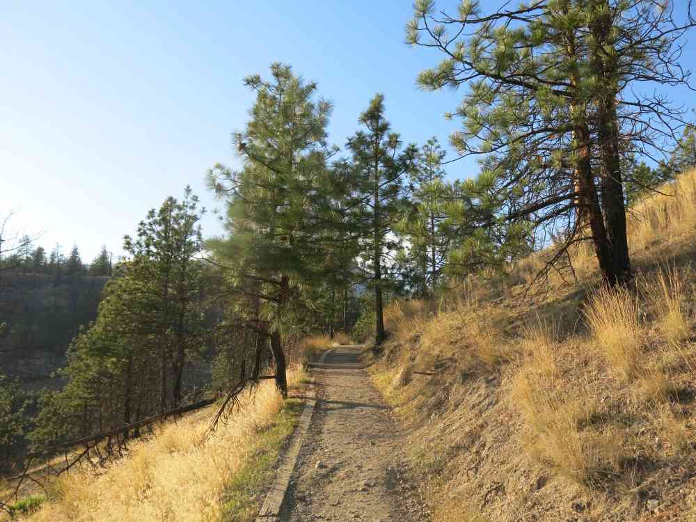 Bear Creek: Canyon Rim Trail