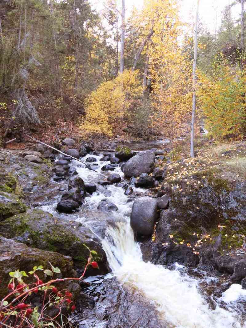 Bear Creek: Canyon Rim Trail