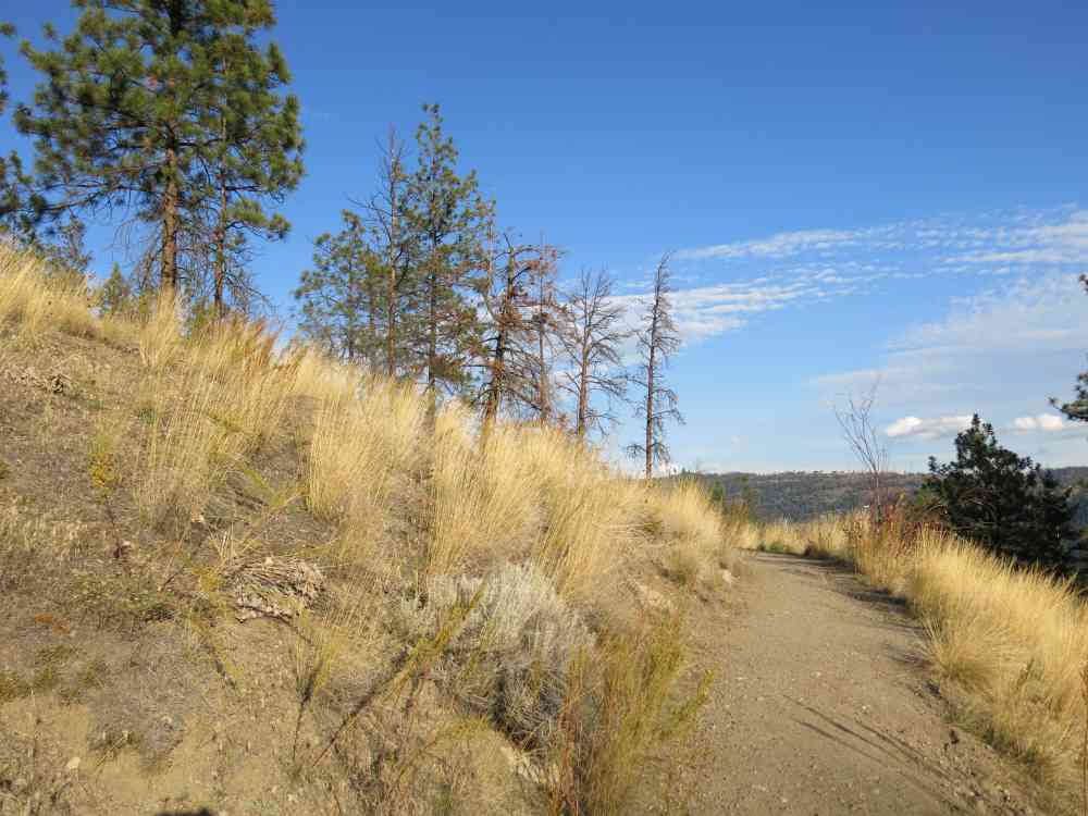 Bear Creek: Canyon Rim Trail