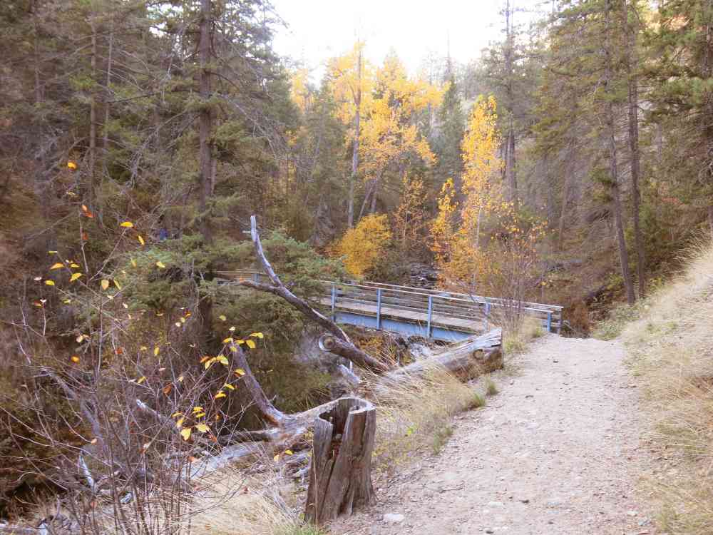 Bear Creek: Canyon Rim Trail
