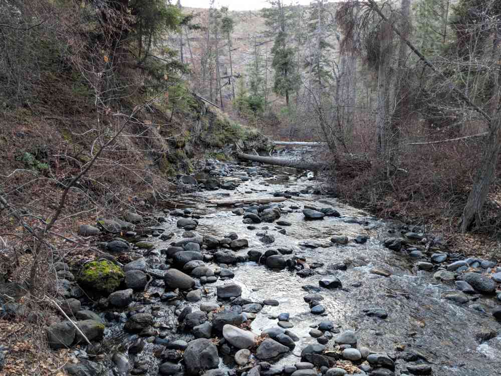 Bear Creek: Canyon Rim Trail