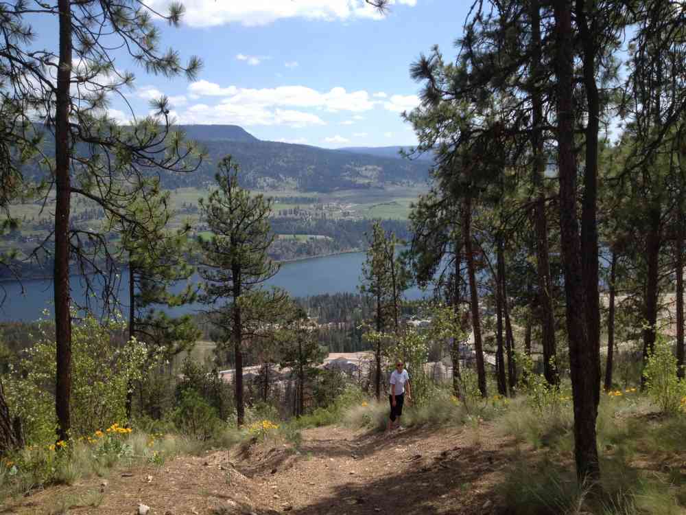 Spion Kop: Unofficial Trail