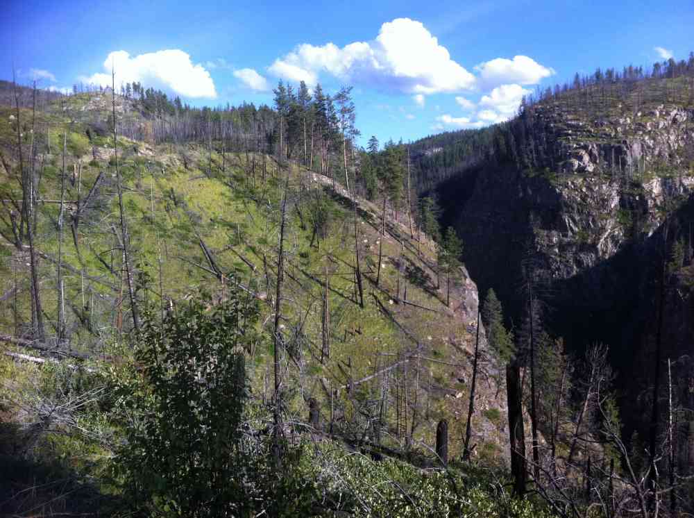 Myra Canyon: Full Loop