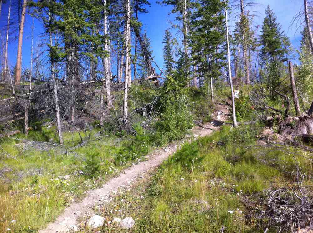 Myra Canyon: Full Loop