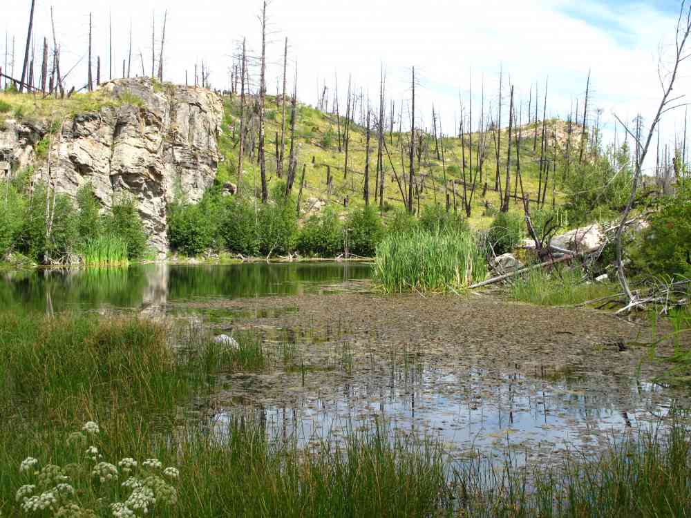Myra Canyon: Full Loop