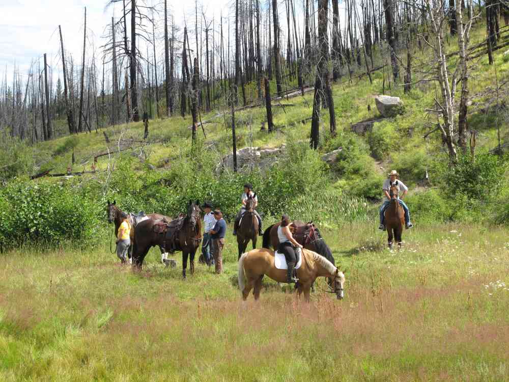 Myra Canyon: Full Loop