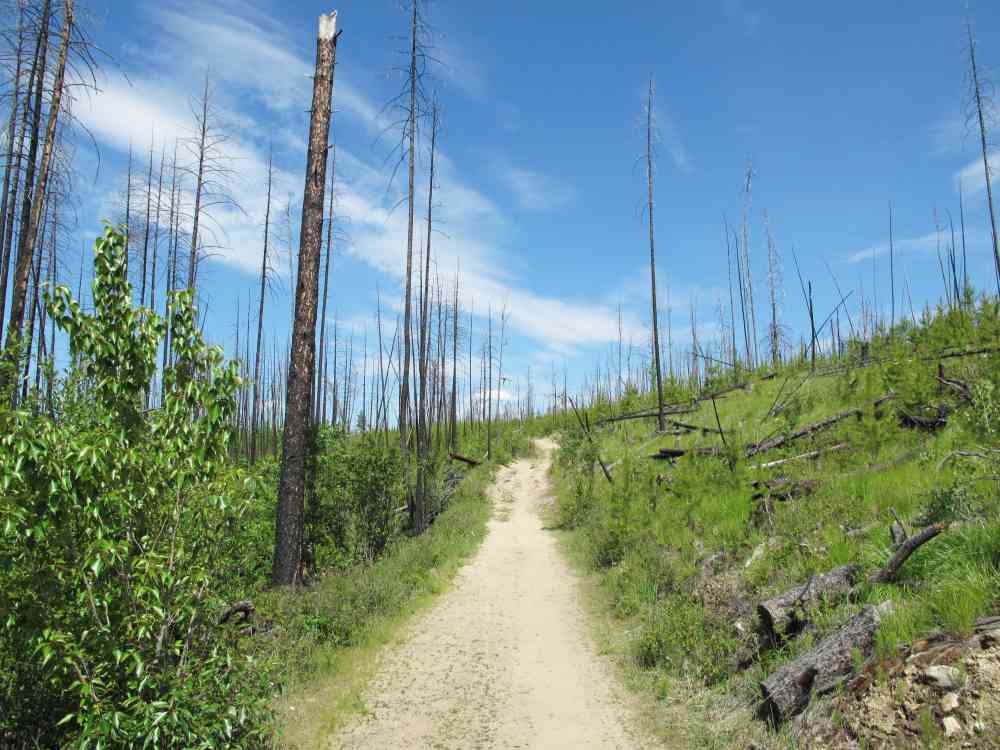 Myra Canyon: Full Loop