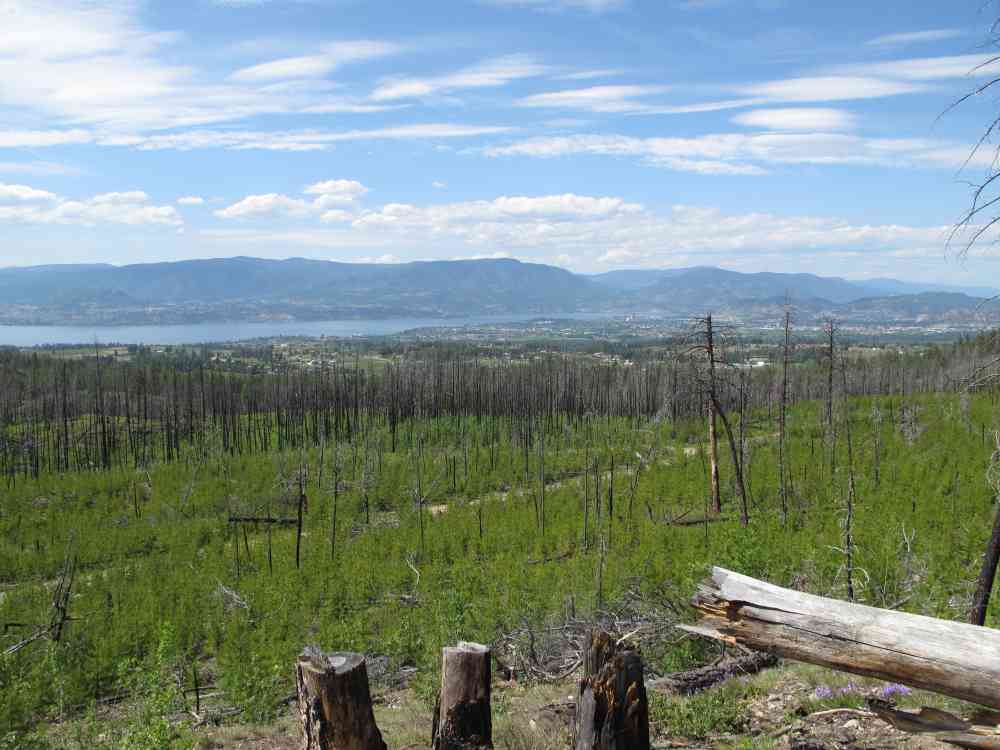 Myra Canyon: Full Loop