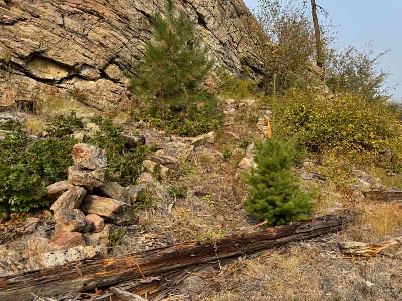 Sunset Hike @ Johns Family (Cedar Mountain)