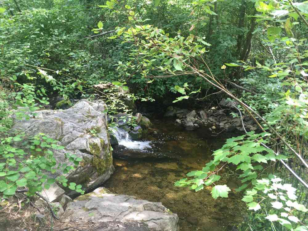 Naramata Falls