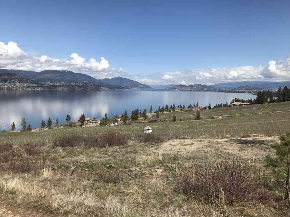 JFNC: Lebanon Creek