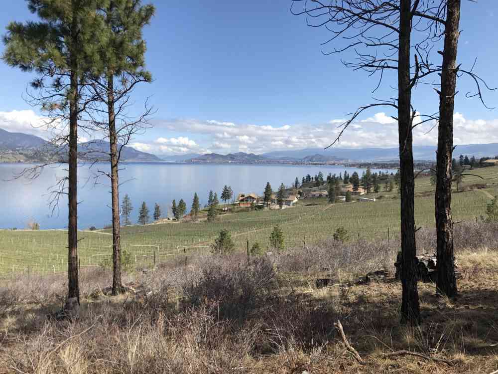 JFNC: Lebanon Creek
