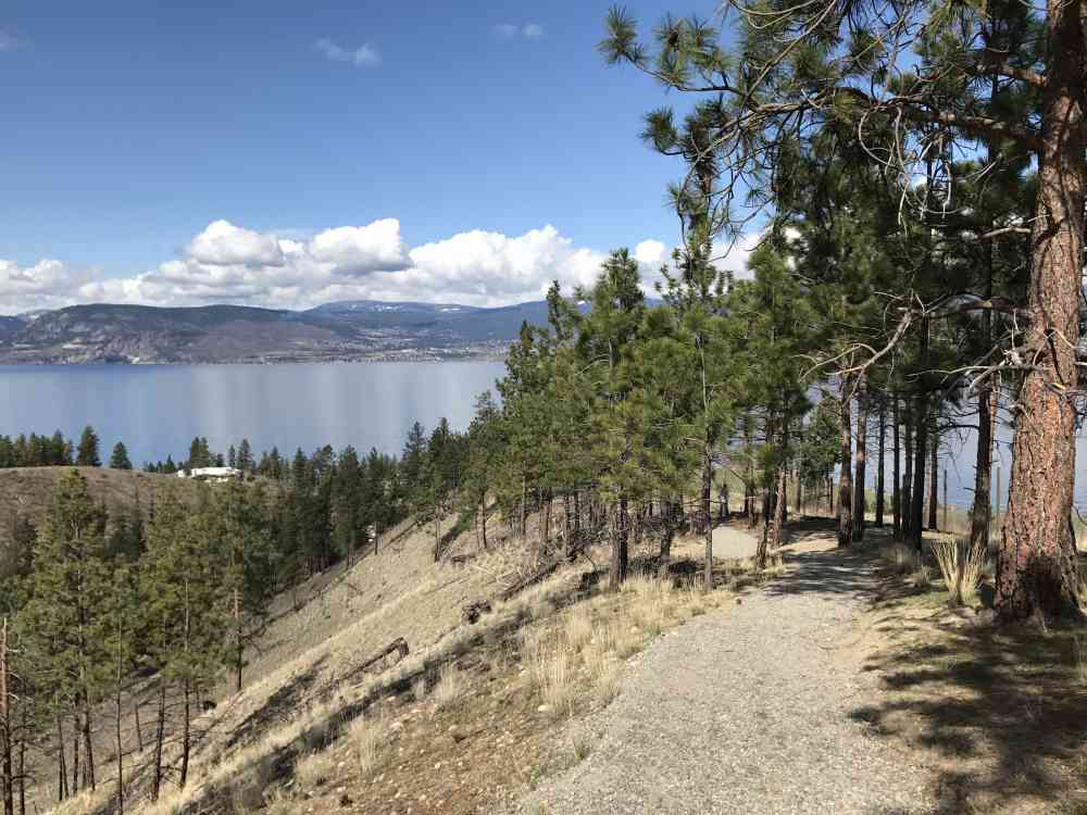 JFNC: Lebanon Creek
