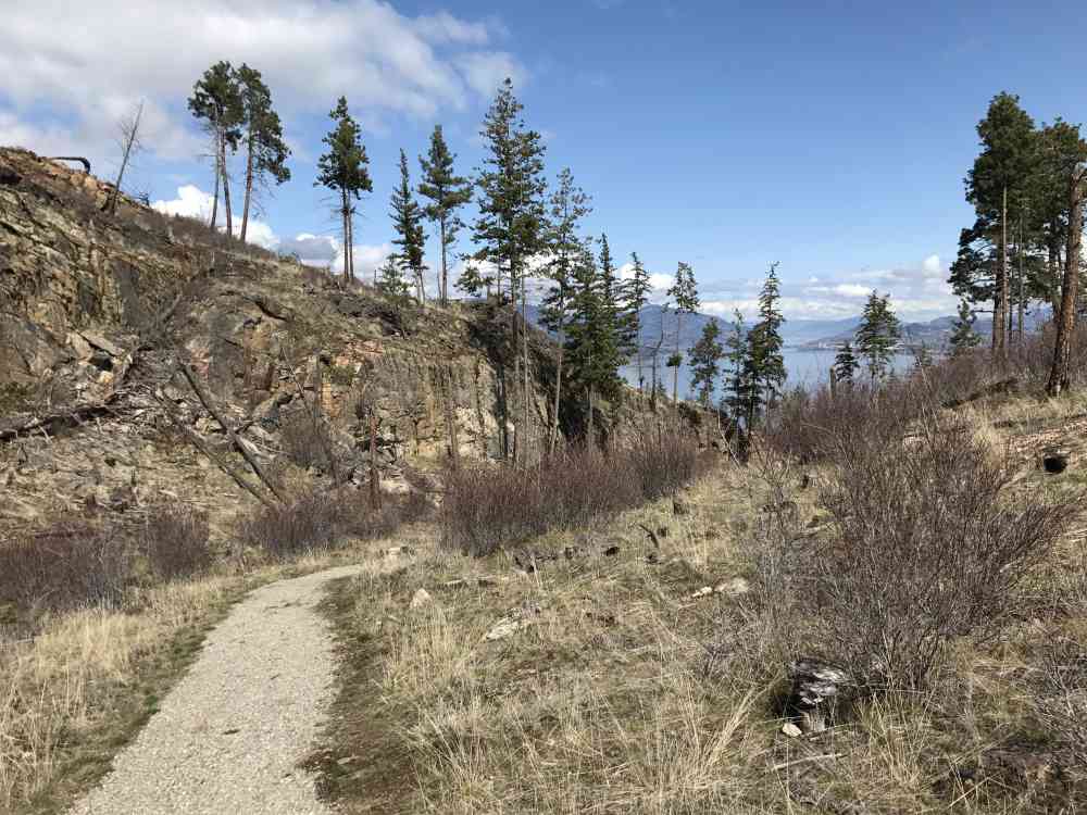 JFNC: Lebanon Creek