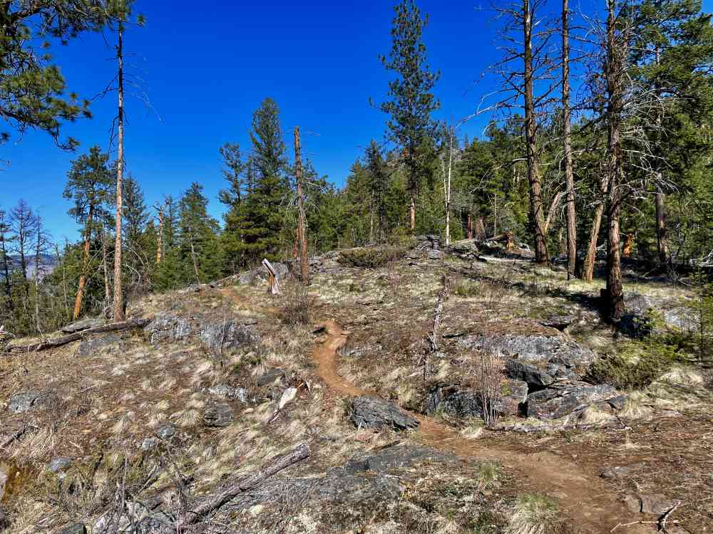 Trails | Cougar Canyon Ridge Viewpoint