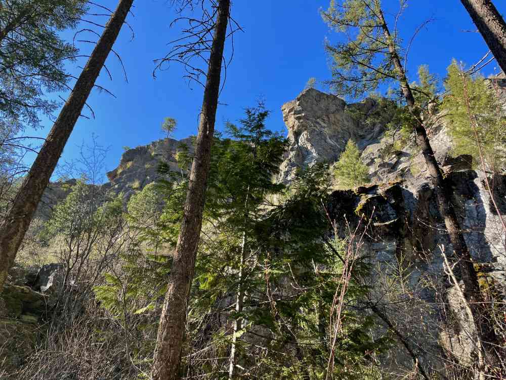 Trails | Cougar Canyon Ridge Viewpoint