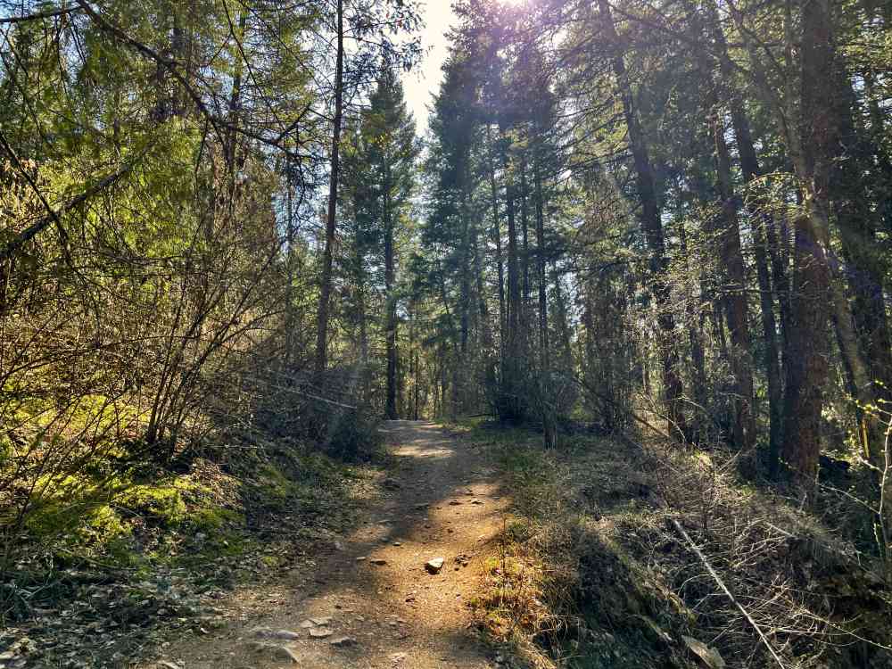 Trails | Cougar Canyon Ridge Viewpoint