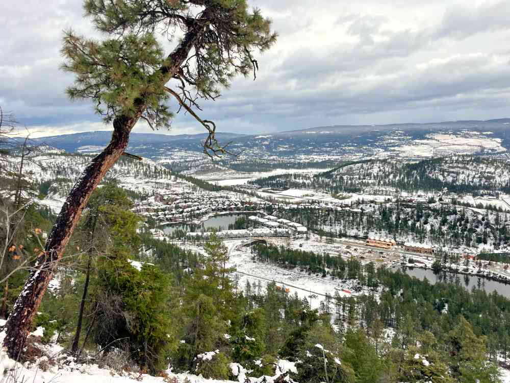 Hike Wilden Ridge (Kelowna)