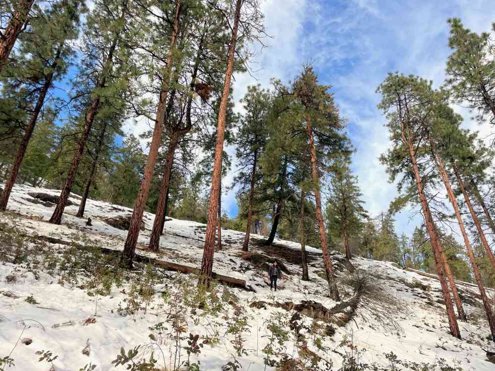 Hike Wilden Ridge (Kelowna)