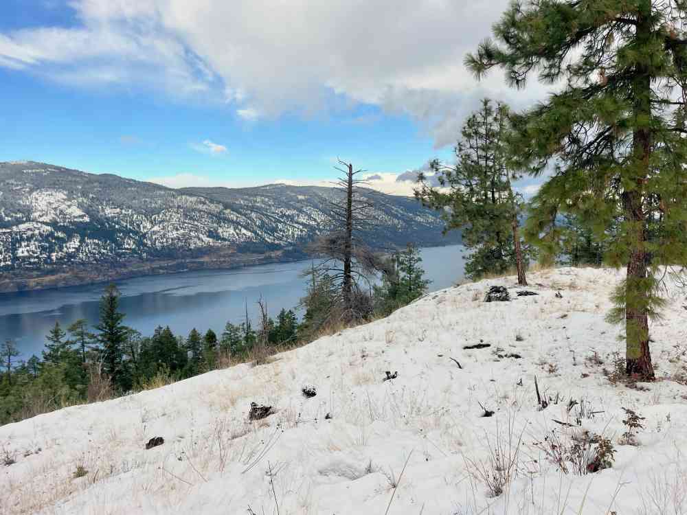 Hike Wilden Ridge (Kelowna)