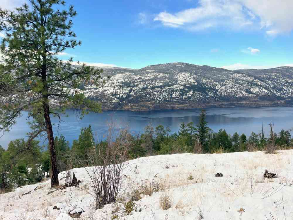Hike Wilden Ridge (Kelowna)