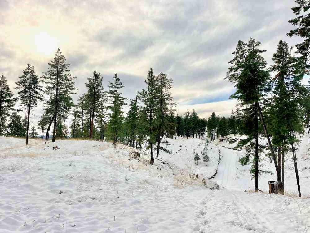 Hike Wilden Ridge (Kelowna)