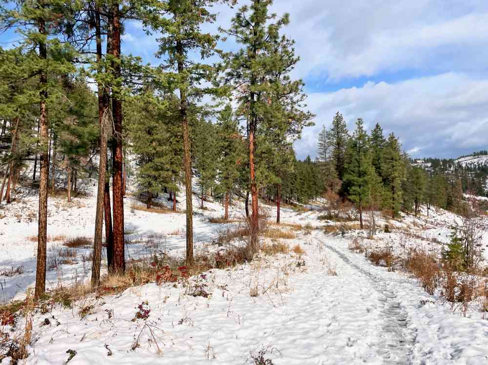 Hike Wilden Ridge (Kelowna)