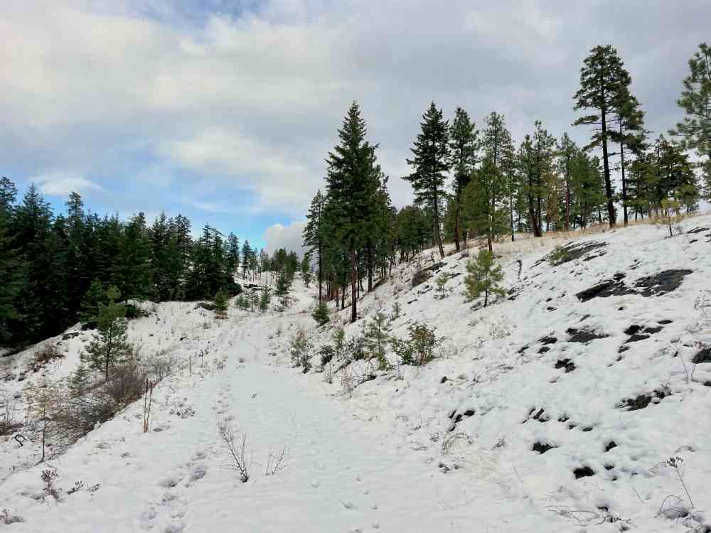 Hike Wilden Ridge (Kelowna)