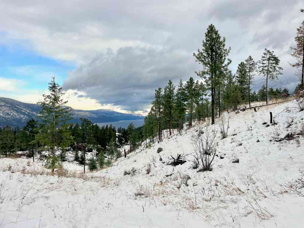 Hike Wilden Ridge (Kelowna)